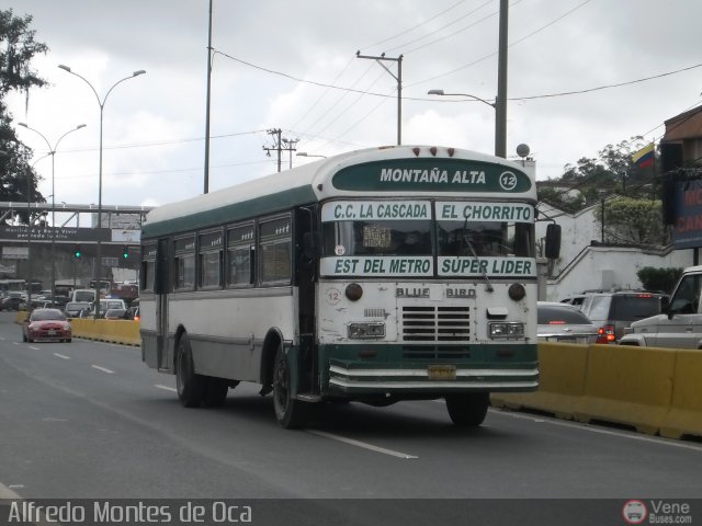 MI - U.C. San Charbel 12 por Alfredo Montes de Oca