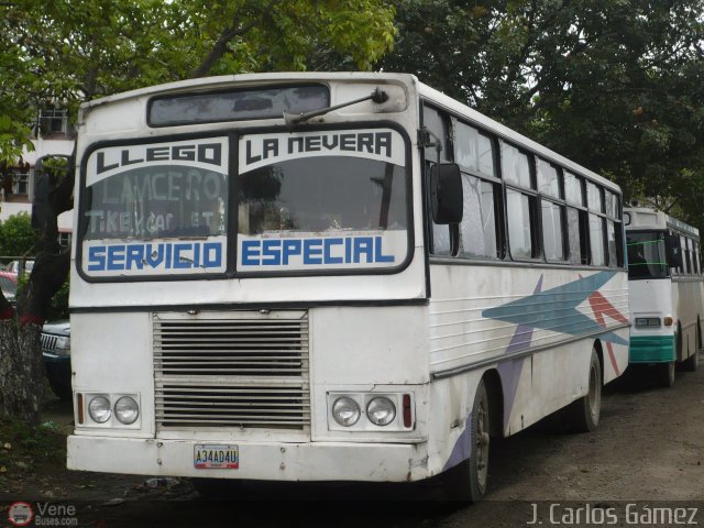 Particular o Transporte de Personal 34 por J. Carlos Gmez