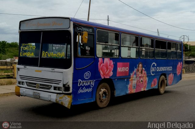 ZU - Colectivos La Limpia - La Estrella 040 por �ngel Delgado