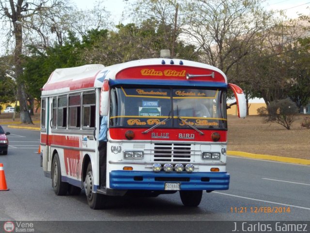 Unin de Conductores Unidos S.C. 089 por Alvin Rondn