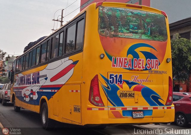 L�nea del Sur 514 por Leonardo Saturno