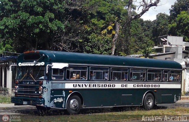 Universidad de Carabobo 190 por Andrs Ascanio