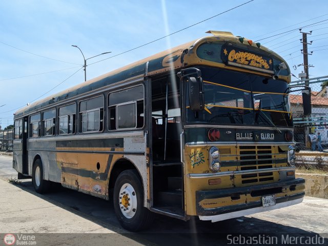 ZU - Colectivos Concepci�n 016 por Sebasti�n Mercado