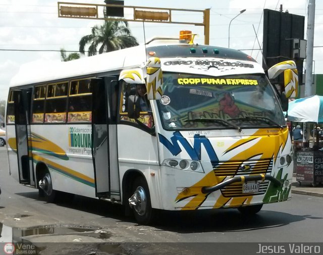 BO - Coop. Puma Express 29 por Jes�s Valero
