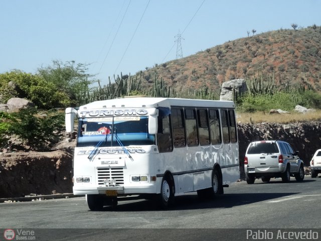 Lnea Los Andes S.C. 021 por Pablo Acevedo