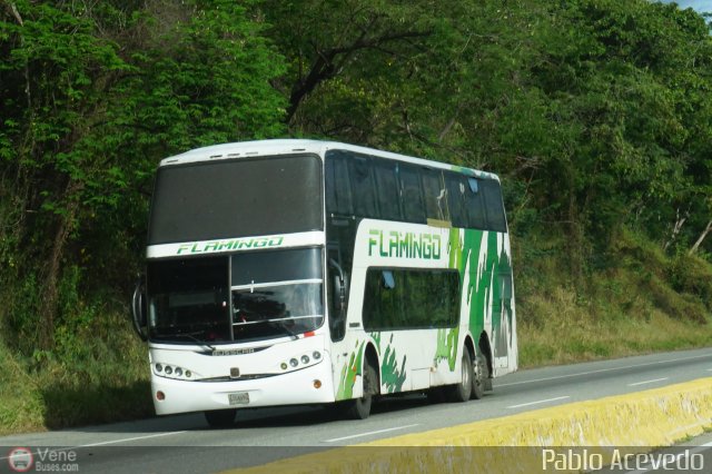 Expresos Flamingo 0171 por Pablo Acevedo