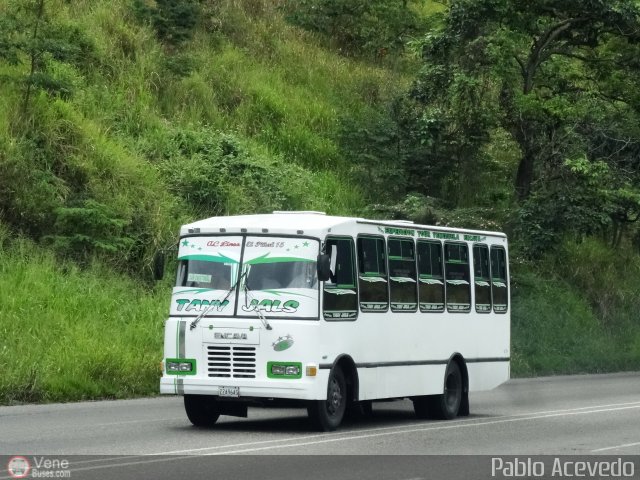 L�nea El Pi�al A.C. 15 por Pablo Acevedo