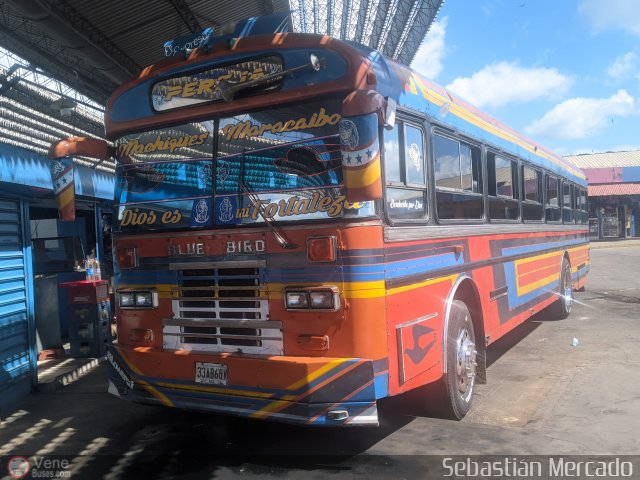 Colectivos Perij 06 por Sebastin Mercado