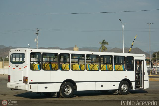 Expresos Valle Guanape 04 por Pablo Acevedo