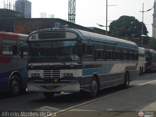 Transporte Colectivo Palo Negro 081 por Alfredo Montes de Oca