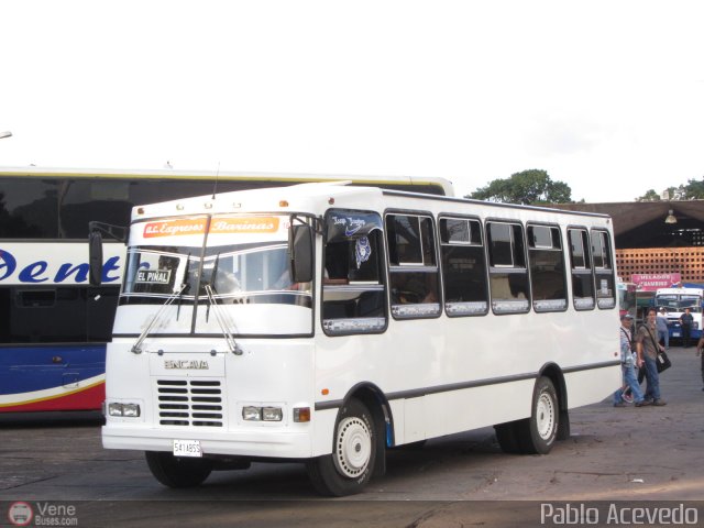 A.C. Expresos Barinas 164 por Pablo Acevedo
