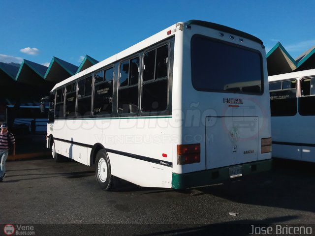 A.C. de Transporte Larense 61 por Jos Briceo