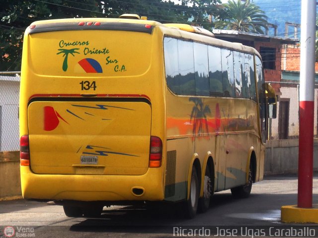 Cruceros Oriente Sur 134 por Ricardo Ugas