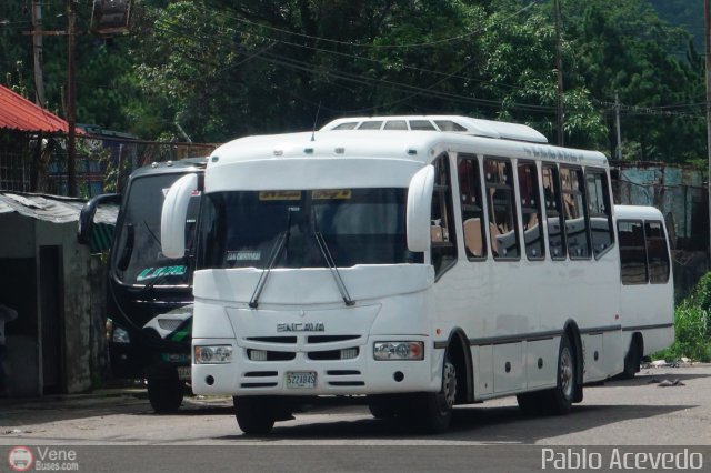 A.C. Transporte Paez 049 por Pablo Acevedo