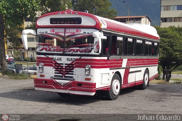 Colectivo Los Andes 32 por Johan Albornoz