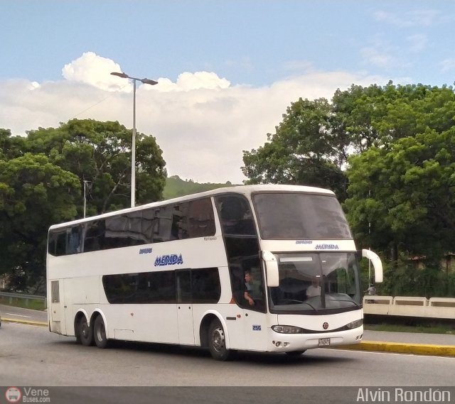 Expresos M�rida 0256 por Alvin Rond�n