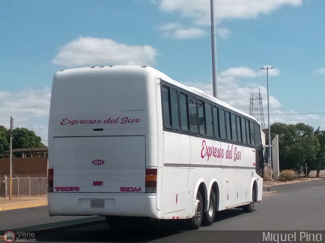 Expresos Del Sur 2011 por Miguel Pino