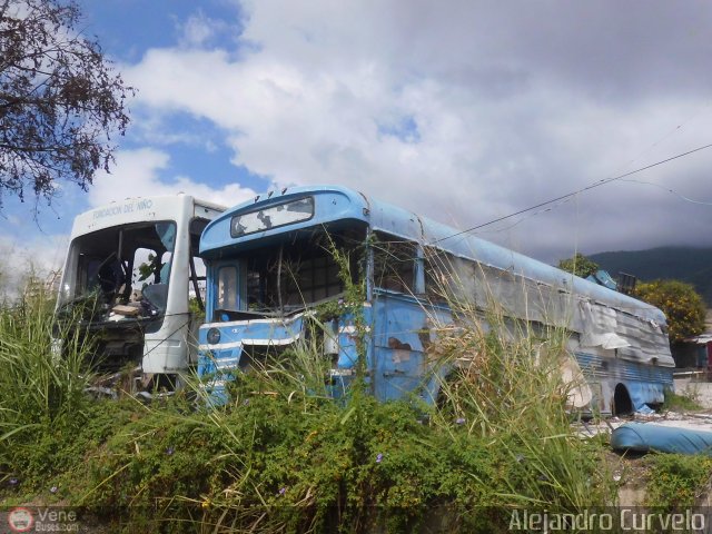 En Chiveras Abandonados Recuperacin 999 por Waldir Mata