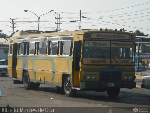 ZU - Colectivos Concepcin 010 por Alfredo Montes de Oca