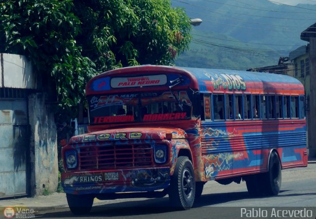 Transporte Colectivo Palo Negro 034 por Pablo Acevedo