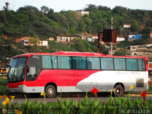 Cruceros Oriente Sur 111 por Ricardo Ugas