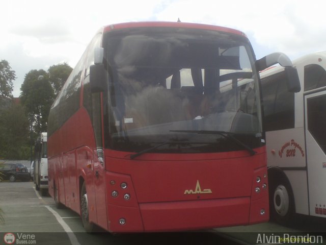 Uso Oficial AR-999 por Alvin Rondn