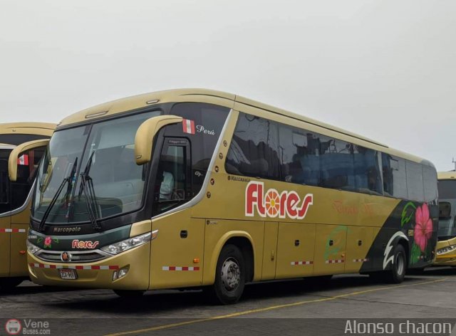 Transporte Flores Hermanos S.R.L 969 por Leonardo Saturno