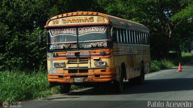 Autobuses de Barinas 010 por Pablo Acevedo