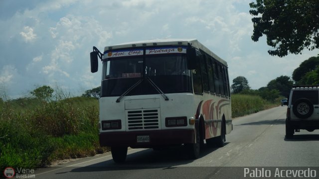 A.C. Pedraza 099 por Pablo Acevedo