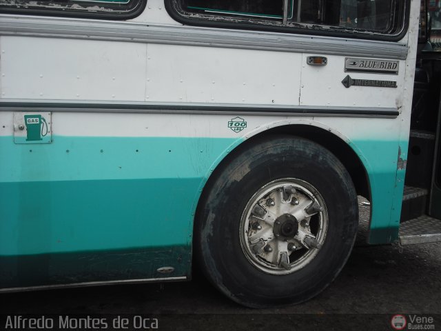 Expresos Bolivarianos 10 por Alfredo Montes de Oca