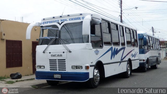 S.C. L�nea Transporte Expresos Del Chama 147 por Leonardo Saturno