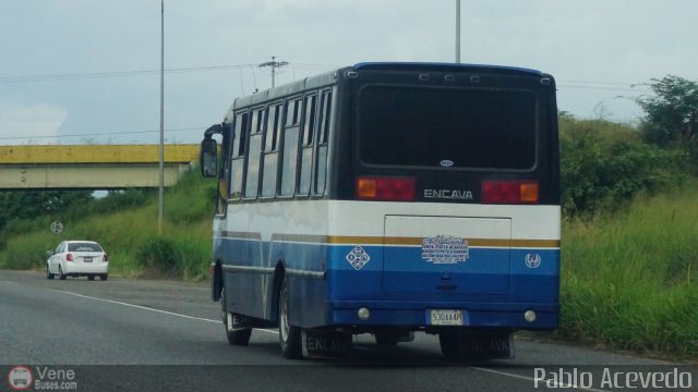A.C. Unión Barquisimeto 29 por Pablo Acevedo