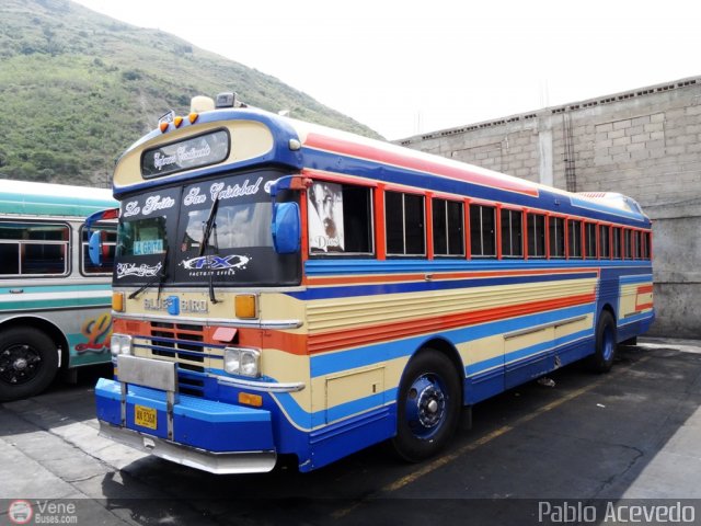 Expresos Continente C-29 por Pablo Acevedo