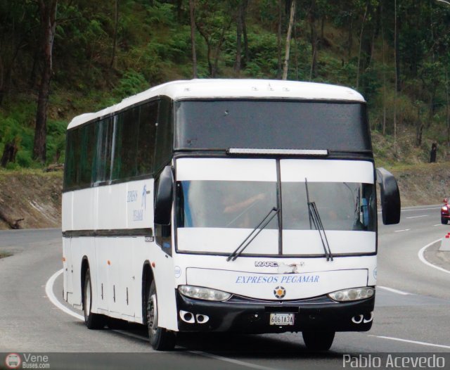 Expresos Pegamar 1059 por Pablo Acevedo