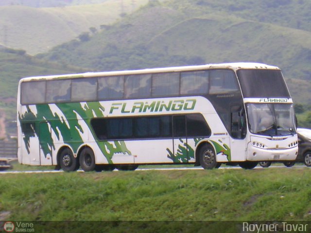Expresos Flamingo 0053 por Royner Tovar