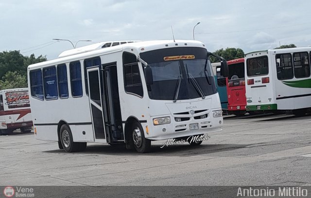 A.C. Transporte Paez 099 por Antonio Mittilo