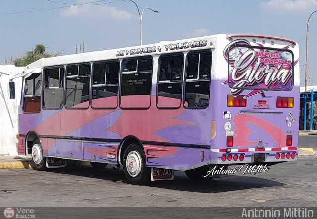 A.C. Transporte Campesino 81 por Antonio Mittilo