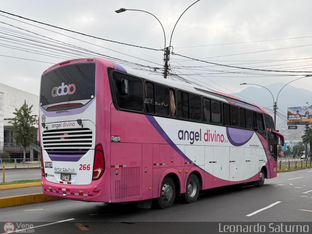 Tours Angel Divino S.A.C. 266 por Leonardo Saturno