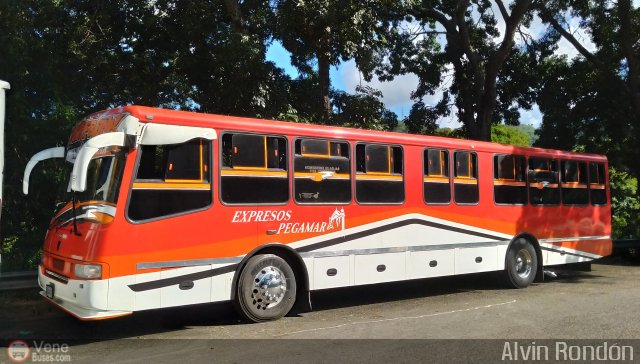 Expresos Pegamar 1919 por Alvin Rond�n
