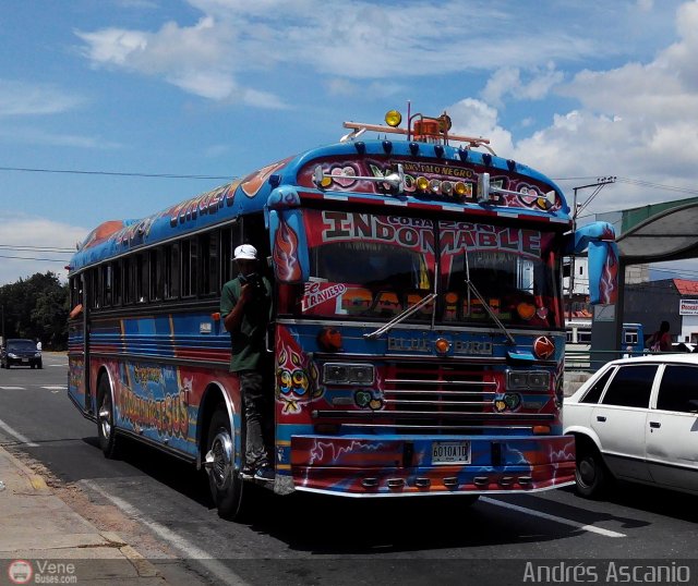 Transporte Palo Negro La Morita 2 099 por Andrs Ascanio