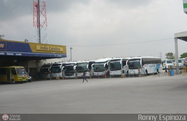 Copetran Cartagena por Ronny Espinoza