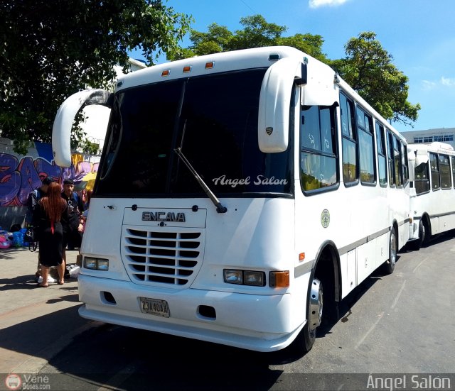 Organizaci�n Guaicamacuto 278 por �ngel Sal�n