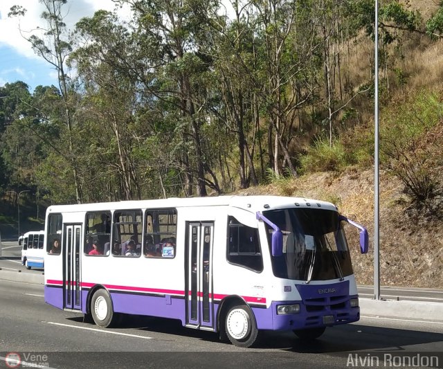 A.C. Indepasib 120 por Alvin Rond�n