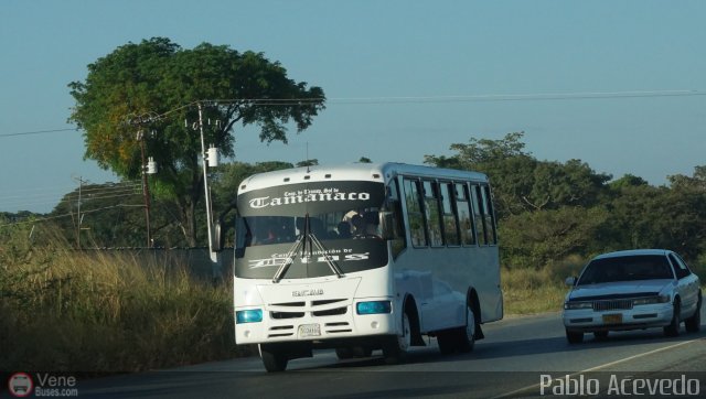 A.C. de Transporte Sol de Tamanaco 15 por Pablo Acevedo