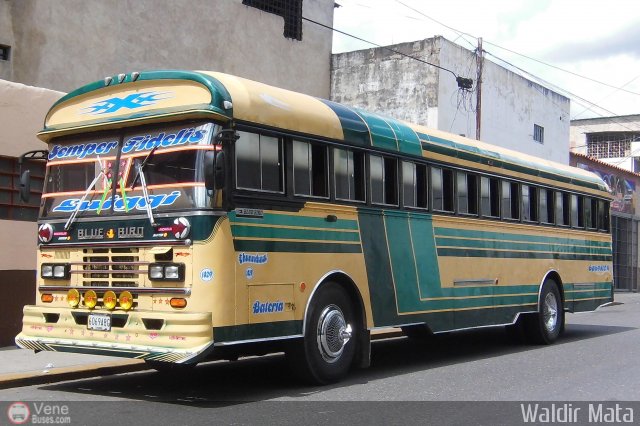 Expresos Nirgua 1029 por Waldir Mata