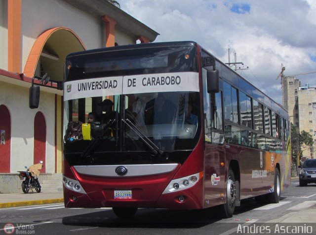 Universidad de Carabobo 339 por Andrs Ascanio