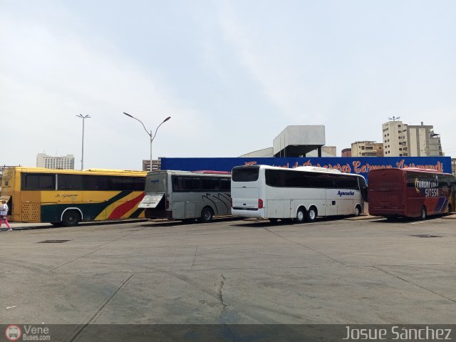 Garajes Paradas y Terminales Puerto la Cruz  por Josue Snchez