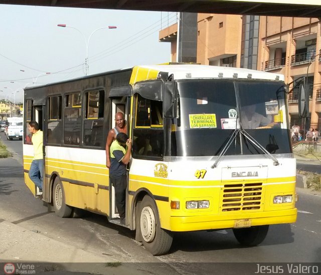 A.C. de Transporte La Raiza 047 por Jesús Valero