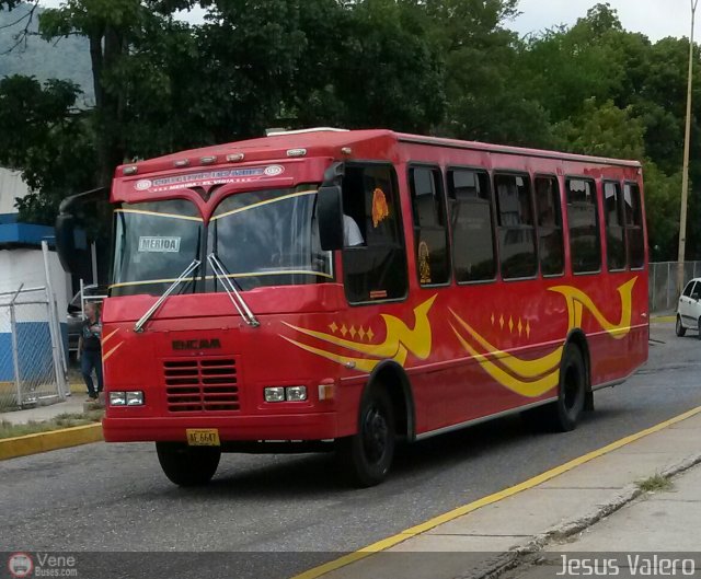 Colectivo Los Andes 17 por Jess Valero