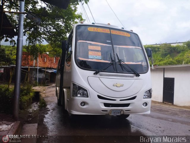 TA - A.C. L�nea Intercomunal 43 por Jerson Nova